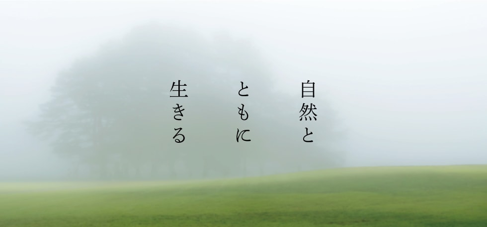 健伸堂薬局 の写真