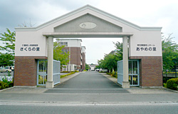 公式案内画像