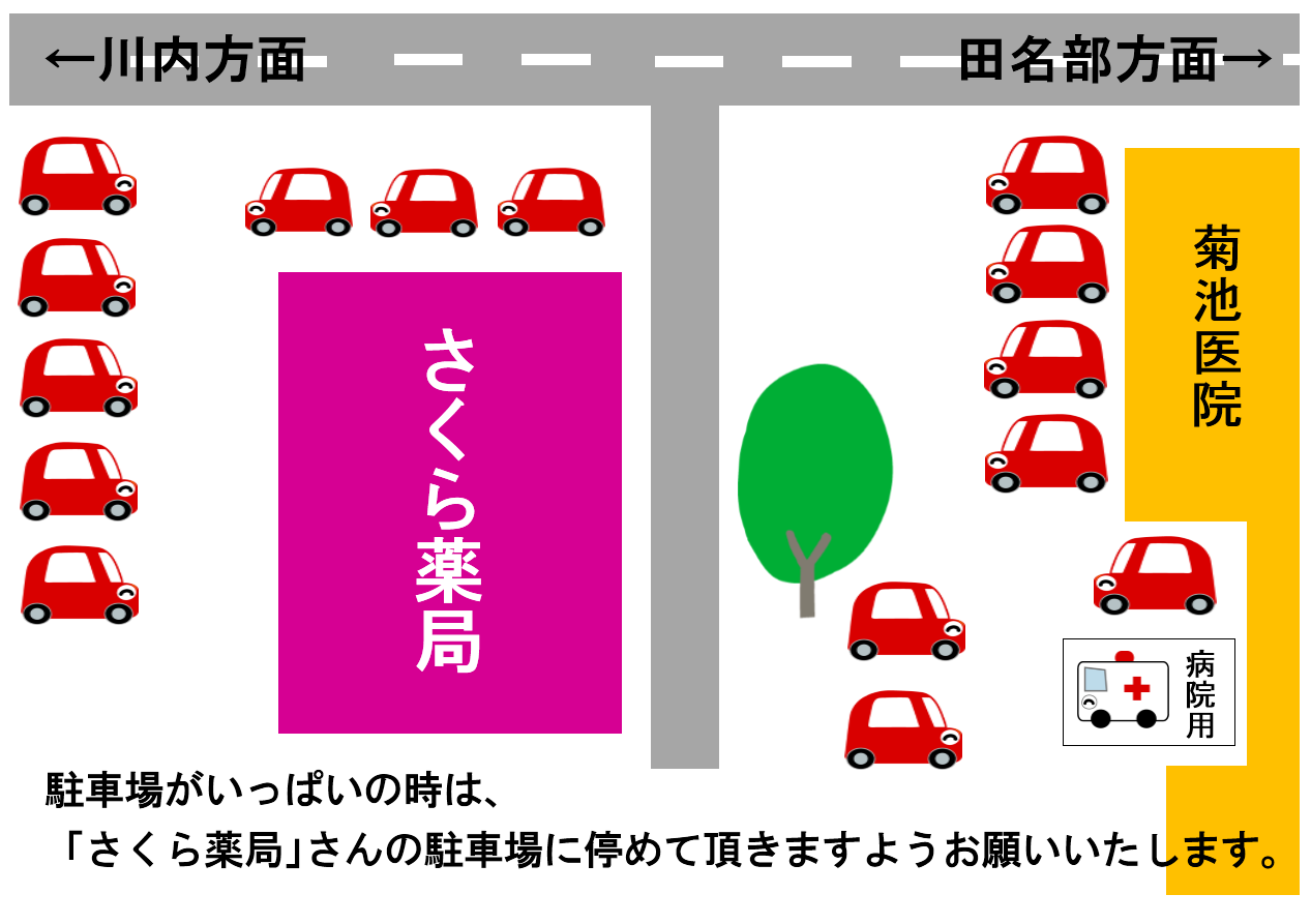 公式案内画像