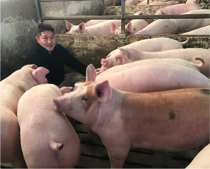 有限会社 佐藤ピッグファーム の写真
