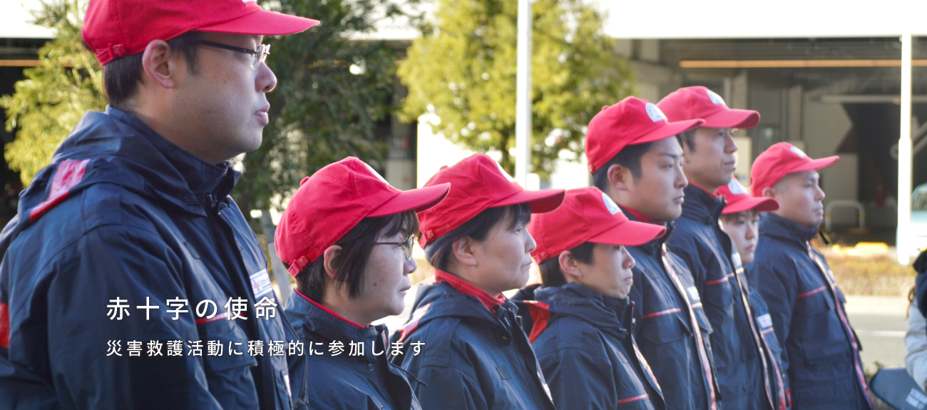 公式案内画像
