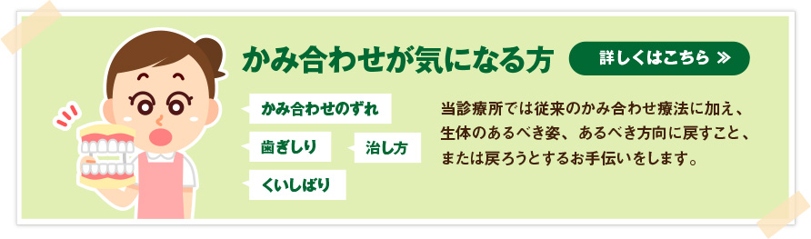 公式案内画像