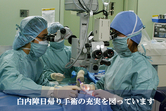 公式案内画像