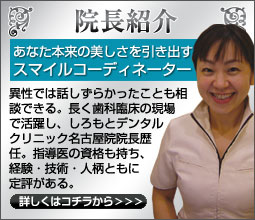 公式案内画像