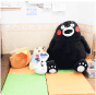 公式案内画像