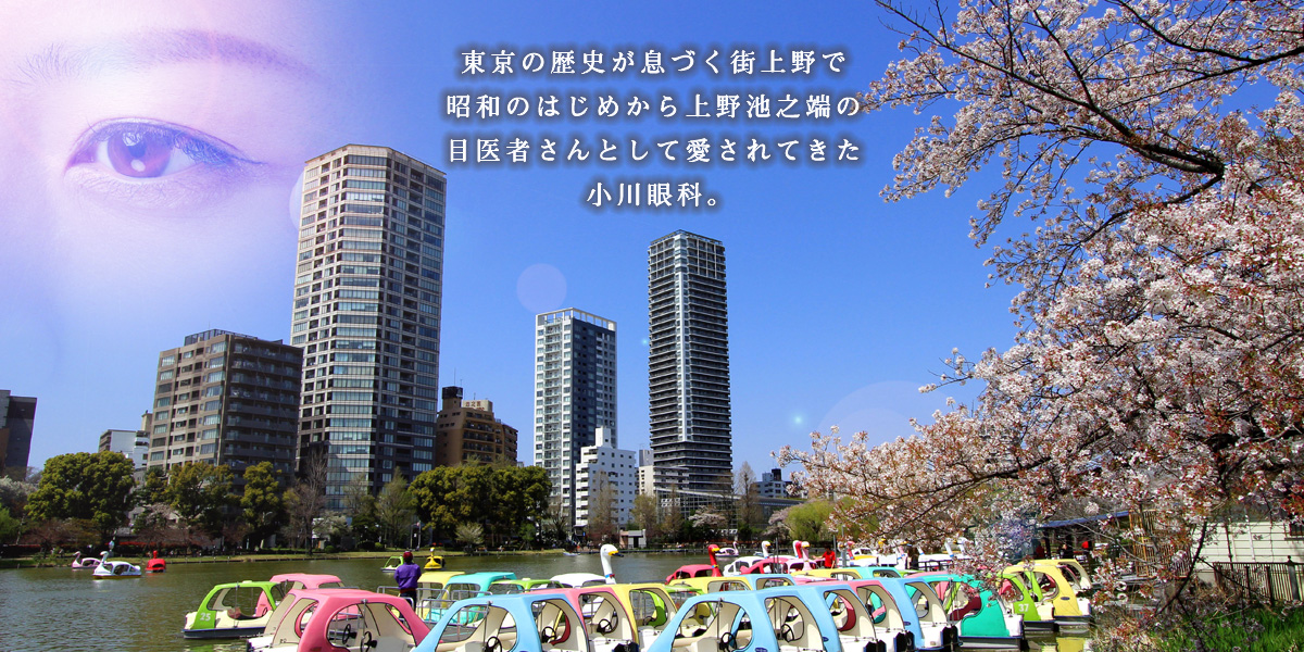 公式案内画像