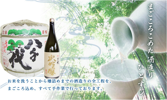 公式代表画像