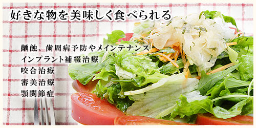 公式案内画像