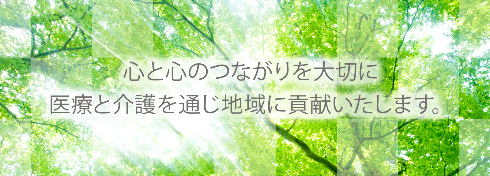 さくら薬局 の写真