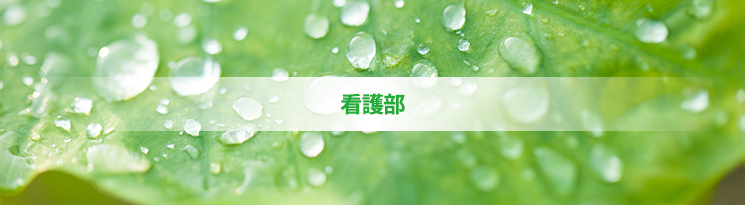 候補画像