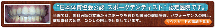 公式案内画像