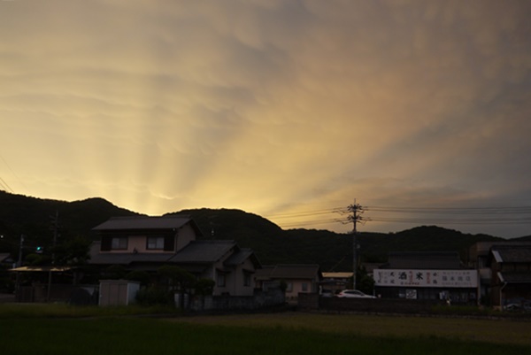 公式案内画像