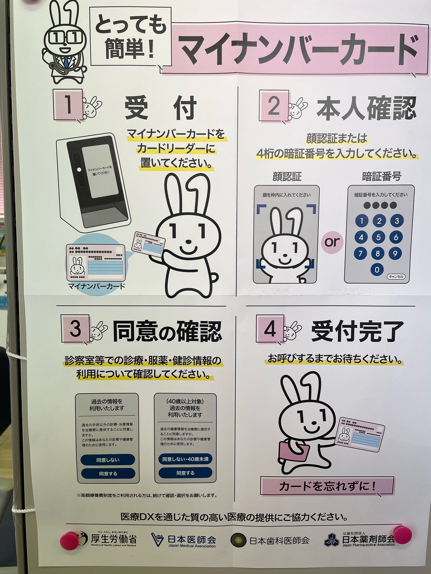 公式案内画像
