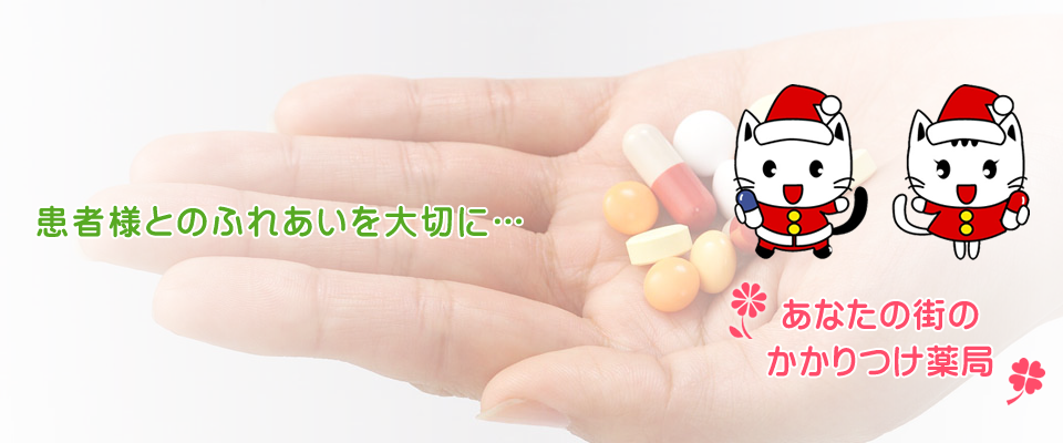 公式案内画像
