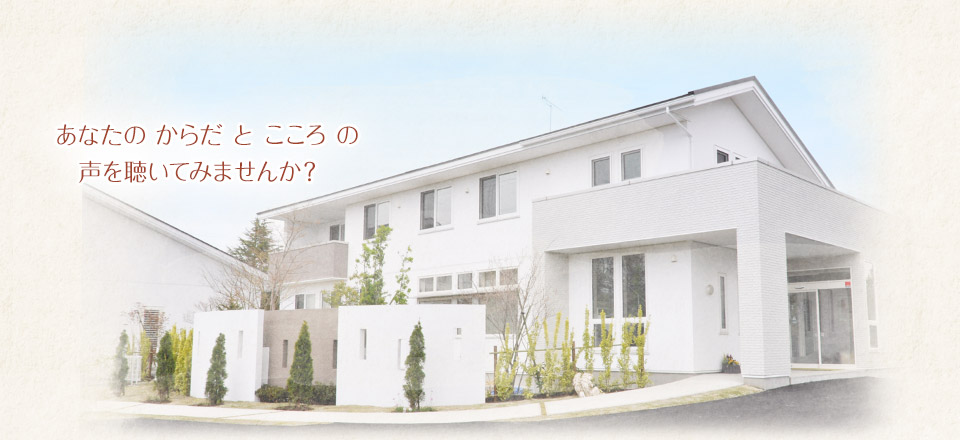新着情報 の写真