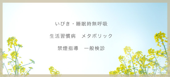 公式案内画像