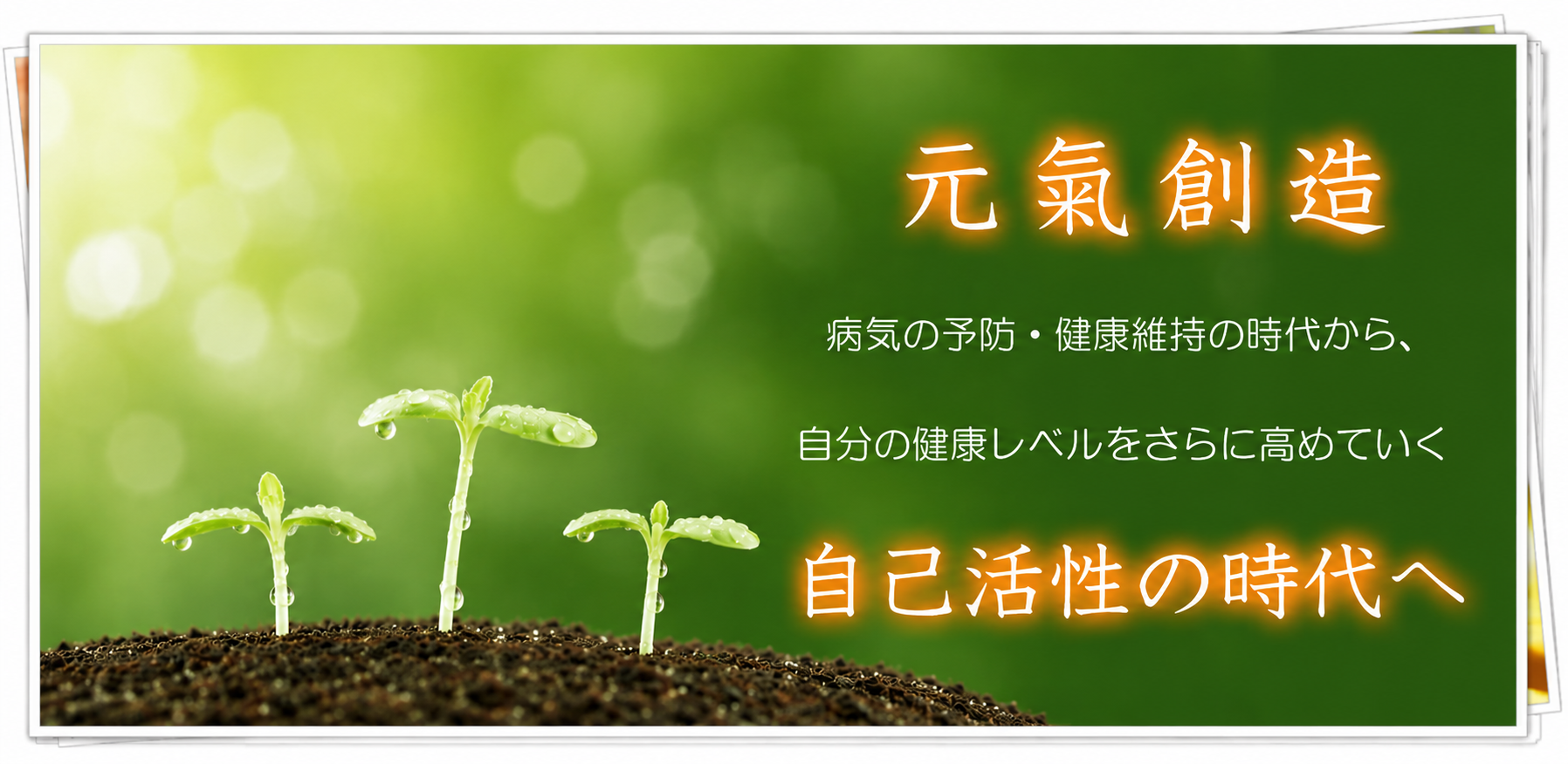 シンバシ薬局 の写真