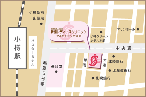 公式案内画像