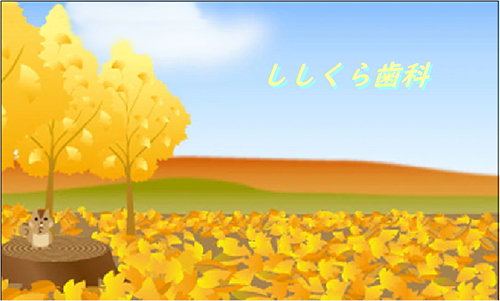 公式案内画像