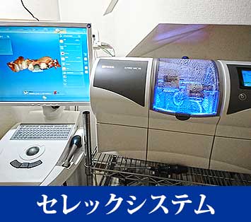 公式案内画像