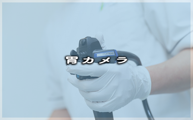 公式案内画像