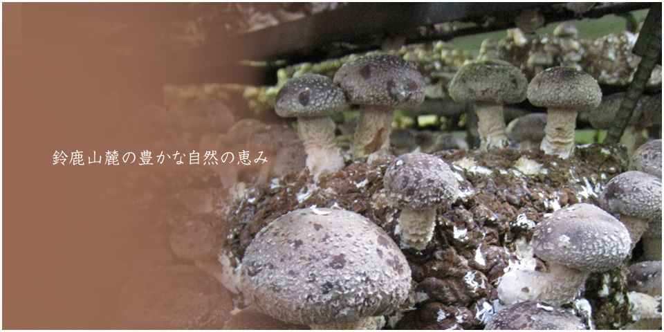 鈴鹿山麓夢工房 の写真