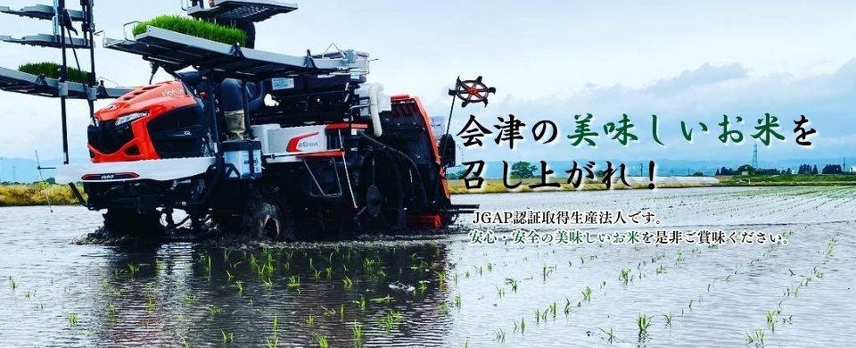 公式案内画像