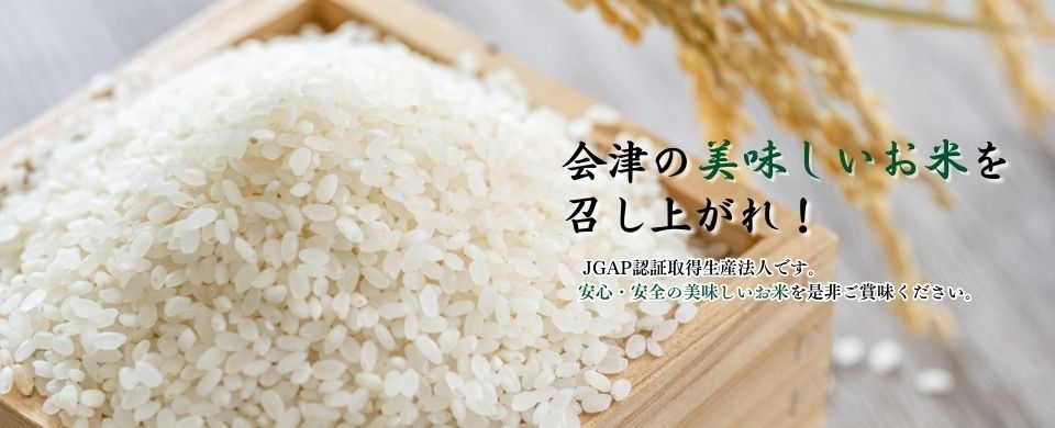 公式案内画像