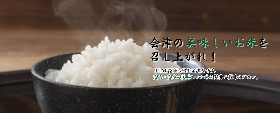 公式案内画像
