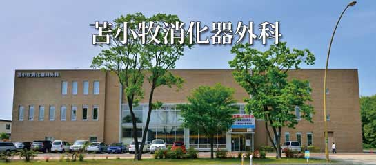 公式案内画像