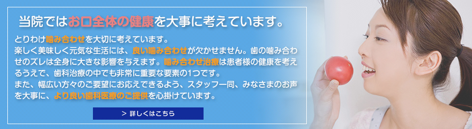 公式案内画像