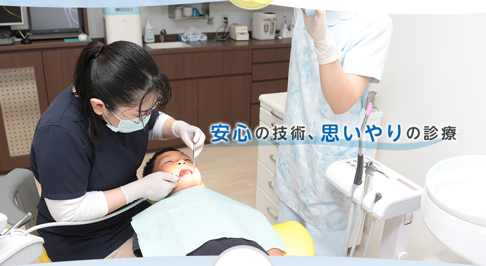 公式案内画像