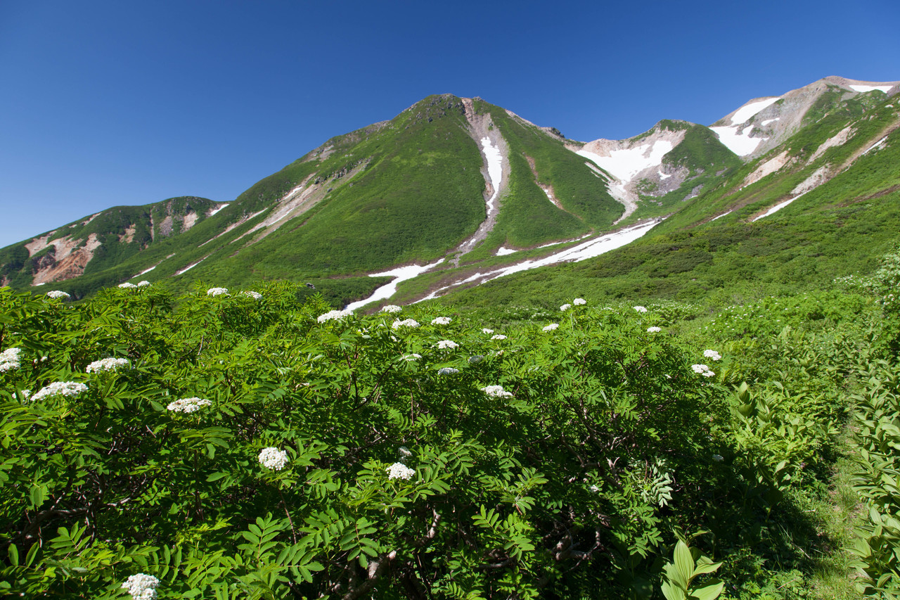 津山クリニック の写真