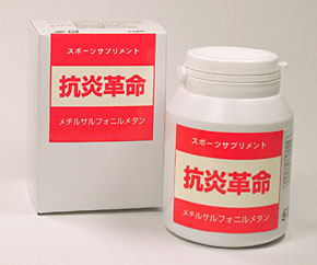 公式案内画像