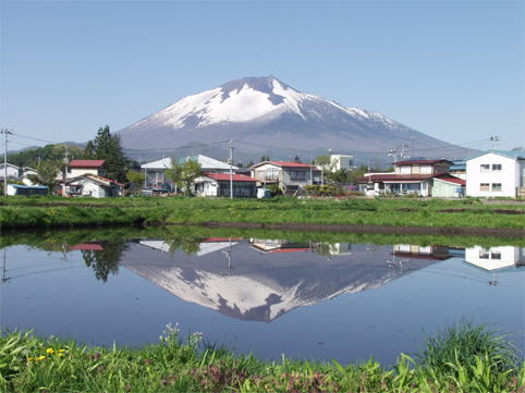 公式案内画像