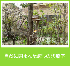 山の手パール歯科クリニック の写真