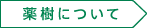 薬樹薬局　加須 の写真