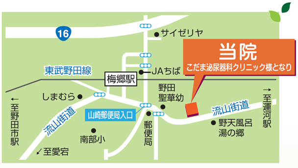 公式案内画像