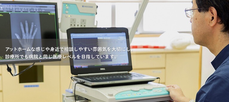 公式案内画像