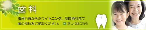 歯科