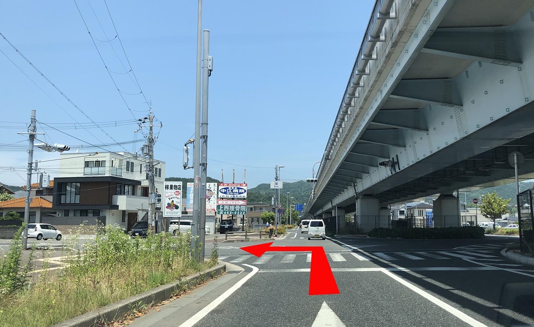 公式案内画像
