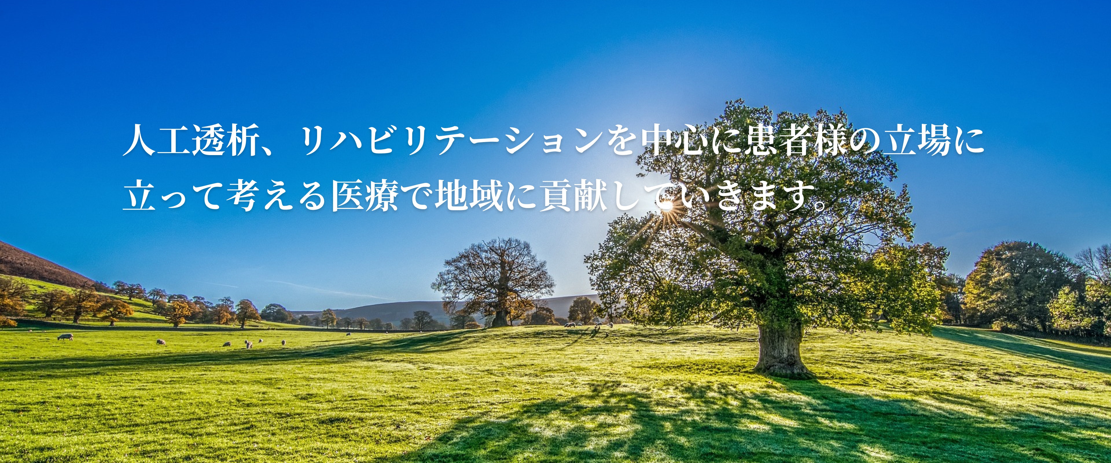 代表画像