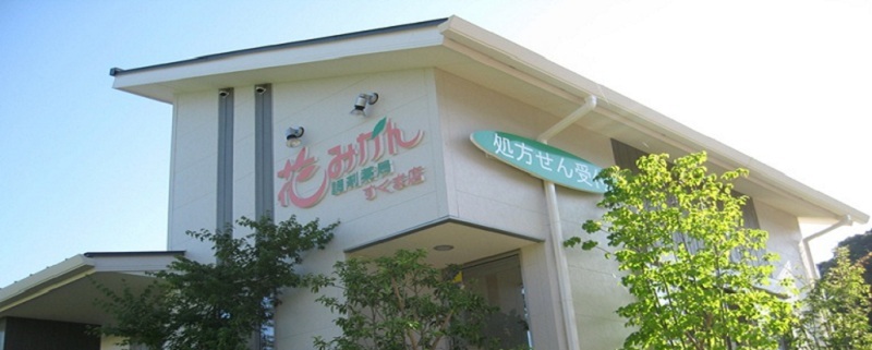 公式案内画像
