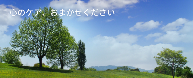 公式案内画像