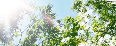 山崎眼科 の写真