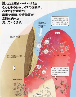 公式案内画像