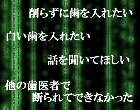 公式案内画像