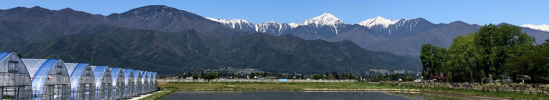 問い合わせページのヘッダーに使われる、北アルプスと農園のビニールハウス
