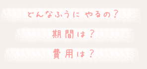 公式案内画像