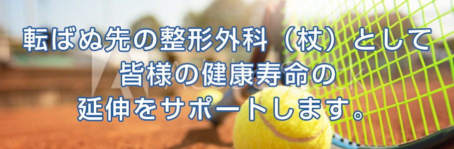公式案内画像